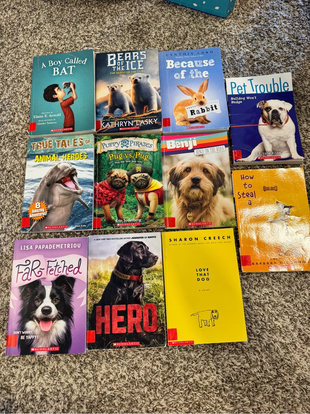 Lot of 11 Children's Dog & Animal Books - Colorful Covers